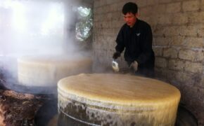 Làng mật mía xứ Nghệ tất bật vào vụ Tết