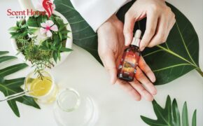 Scent Homes – Du lịch vòng quanh thế giới bằng mùi hương