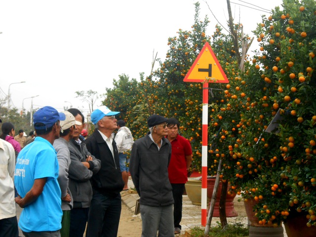 Đông đảo người dân và du khách tham quan, thưởng lãm