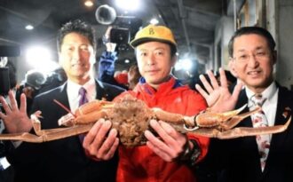 Hơn 1 tỷ đồng cho một con cua tuyết Nhật Bản