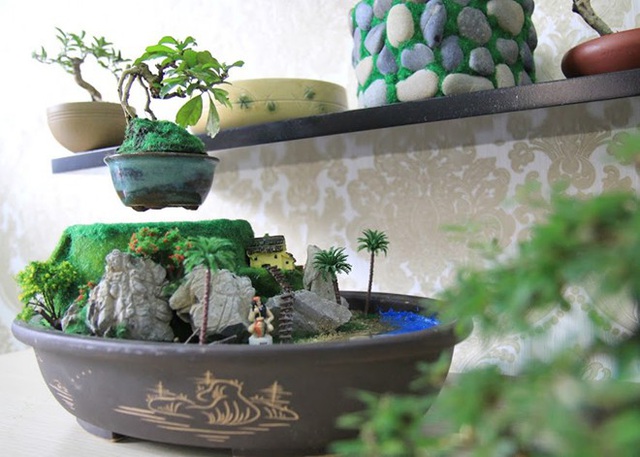 Dù mới du nhập về Việt Nam nhưng những sản phẩm bonsai bay đã tạo nên cơn sốt và được nhiều người ưa chuộng. Ảnh: Happy Trees