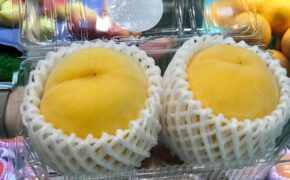 Quả đào xứ “mặt trời mọc” giá gần 1 triệu/cặp “hút” nhà giàu Việt