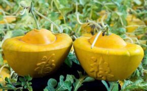 Mẹo chọn trái cây cho ban thờ ngày Tết không phải ai cũng biết