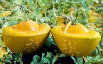 Mẹo chọn trái cây cho ban thờ ngày Tết không phải ai cũng biết