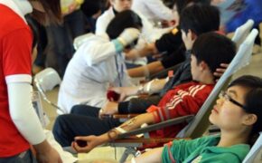 Những giọt máu rực đỏ yêu thương