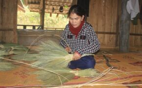 Quảng Trị: Người dân Vân Kiều đan chổi đót kiếm tiền sắm Tết