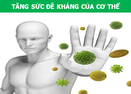 Vì sao trà hoa nhài lại chính là “thức uống số 1” cho ngày hè? - 4