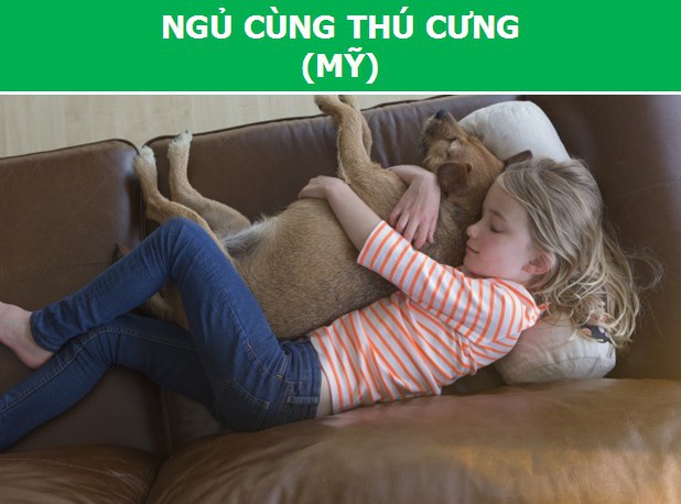 Khám phá “văn hóa ngủ” khác biệt của người dân trên thế giới - 6