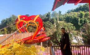 Độc đáo quần thể vườn hoa Tử Đằng, phong lá đỏ, lá vàng duy nhất tại Việt Nam