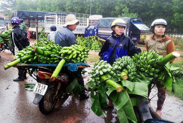 Phiên chợ chuối đầu mối xã Suối Cát họp chợ Tết sáng nay, 21/1