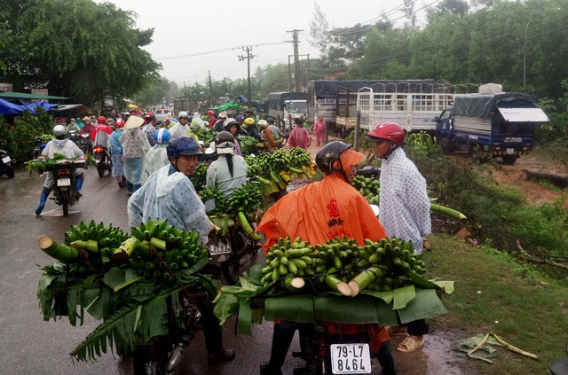 Cảnh họp chợ chuối nhộn nhịp dù thời tiết không thuận lợi