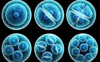 Đừng trông chờ phép màu, hãy tìm hiểu ngay liệu pháp chữa trị bệnh và chống lão hóa này!