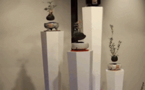 Ngỡ ngàng trước “vườn cây cảnh biết bay” của người Nhật