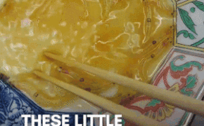 Rùng mình với món “cá đang bơi” Shirouo trứ danh của Nhật Bản