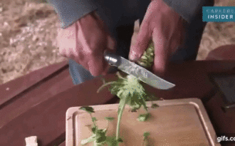 Tại sao Wasabi “thật” lại đắt đỏ và khan hiếm đến như vậy?