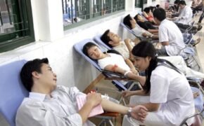 Hoa hậu Ngọc Hân, Sao mai Minh Chuyên tham gia ngày hội hiến máu