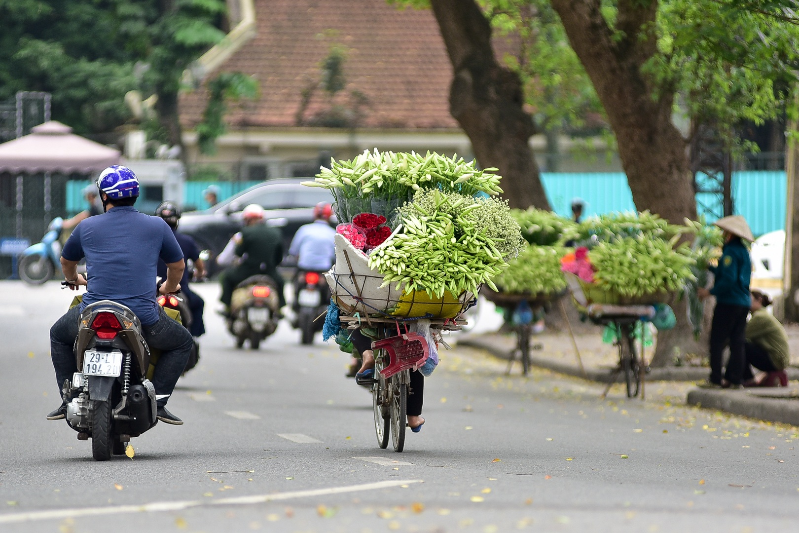 Tháng tư về, hoa loa kèn tinh khôi xuống phố Hà Nội - 9