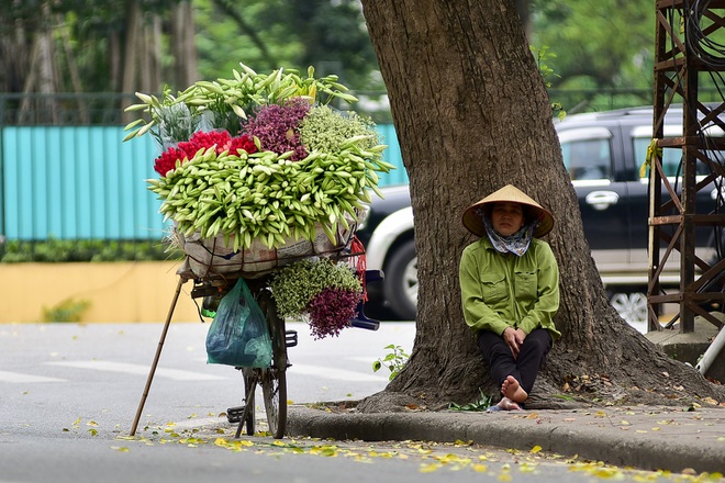 Tháng tư về, hoa loa kèn tinh khôi xuống phố Hà Nội - 4