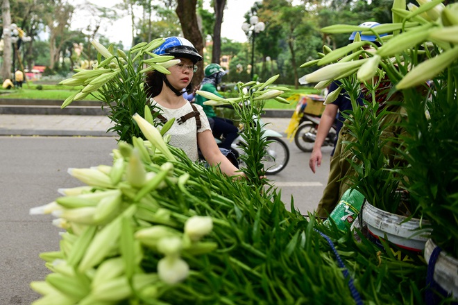 Tháng tư về, hoa loa kèn tinh khôi xuống phố Hà Nội - 13