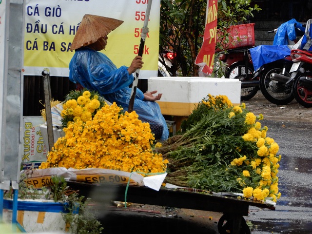 Hoa tươi...