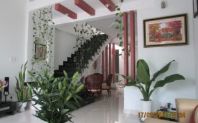 Ảnh dự thi số 1: Nhà vườn trong lòng thành phố “đáng sống nhất Việt Nam”