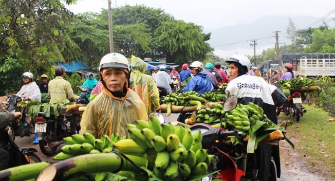 Nhộn nhịp chợ chuối Tết hơn 30 năm lớn nhất Nam Trung Bộ