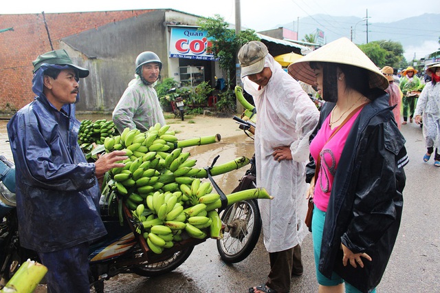 Nhộn nhịp chợ chuối Tết hơn 30 năm lớn nhất Nam Trung Bộ - 8