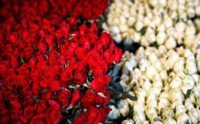 “Đấng mày râu” Hồng Kông “phóng tay” nhất châu Á cho ngày Valentine