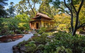 Những mẫu thiết kế “khu vườn trong mơ” theo cách người Nhật