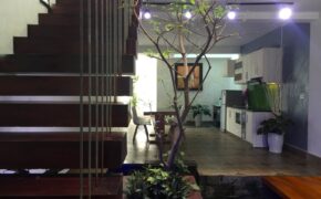 Ảnh dự thi số 14: Giếng trời, cây xanh và đàn cá tung tăng hoà nhịp cuộc sống