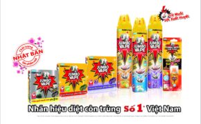 Đồng hành cùng cộng đồng phòng chống sốt xuất huyết và bệnh do virus Zika