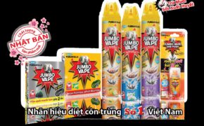 Tác hại nguy hiểm khi phụ nữ mang thai mắc bệnh sốt xuất huyết và bệnh do virus Zika