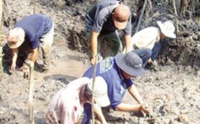 Bí ẩn những kho báu “hàng tấn vàng” ở Việt Nam