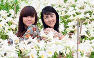 Miss teen “kể chuyện tình yêu” mùa hoa loa kèn