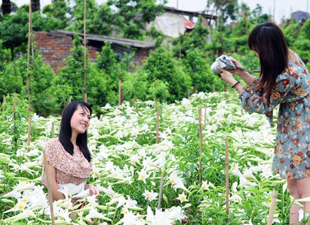 Miss teen “kể chuyện tình yêu” mùa hoa loa kèn - 6