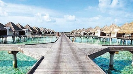 Lâm Hy Lôi làm đám cưới với đại gia tại Maldives - 3