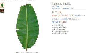 Ớt Việt, chổi chít,… thành hàng “xa xỉ” khi rao bán ở nước ngoài