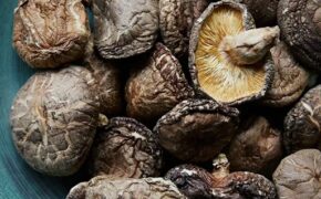 Chuyên gia chỉ cách chọn nấm Hương và nấm Mộc nhĩ cho mâm cỗ Tết “tròn vị”