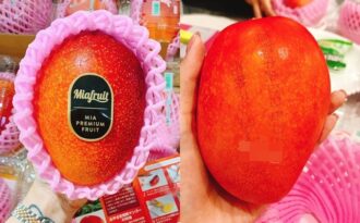 Xoài ruby Nhật giá 1,3 triệu/quả, nhà giàu Việt “đấu giá” ăn chơi