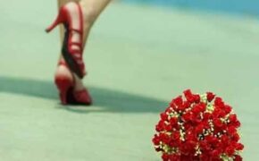 Tôi dâng hiến và buồn tủi…