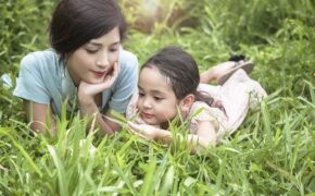 Vùng đất an lành giữa lòng thành phố