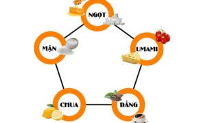 Umami và hành trình ghi danh vào nền ẩm thực nhân loại
