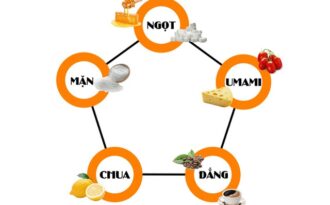 Umami và hành trình ghi danh vào nền ẩm thực nhân loại