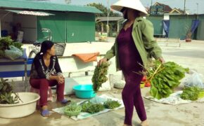 Rau xanh đắt khách, “nhích” giá đầu Xuân mới