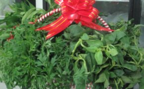 Rau rừng “lên ngôi” trong thị trường quà Tết