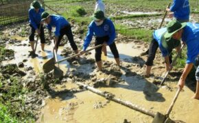 Áo xanh tình nguyện trên những bản làng