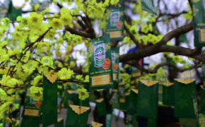 Sự thấu hiểu từ ba thập kỷ gắn kết