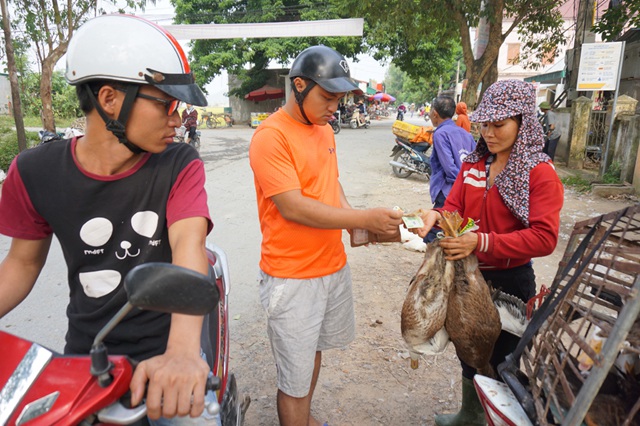 Mặc dù giá thịt lợn rẻ nhưng giá vịt thịt không tăng nhiều so với năm ngoái, vịt trắng giá 75-80 nghìn/1 con khoảng 2,5 kg, vịt bầu có giá cao hơn, khoảng 80-90 nghìn