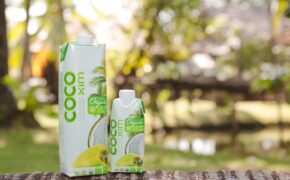 Doanh nghiệp Việt và dự án kiến tạo “10.000ha vườn dừa organic cho nông dân”