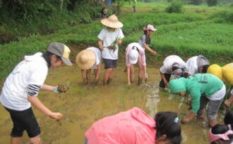 Khi học sinh thành thị được thử sức làm…nông dân